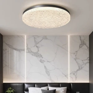 LED Iron Chandelier Ceiling Light with Acrylic Cover Surface Mounted Indoor Lighting for Home Office