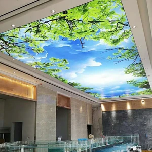 New Arrival Customized Modern Led Light Box Ceiling PVC Film Building Construction Materials Sky Stretch Ceiling for Living Room