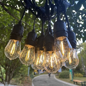 Commercial 48ft Fixed Socket LED String Lights S14 A60 G45 LED Retro Edison Bulb EU Connectable Wedding Holiday Lighting Garland