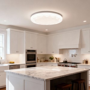 LED Energy Saving Modern Dusty Proof 12W 18W 24W Daily White Light LED Ceiling Lights For Bedroom Dining Room
