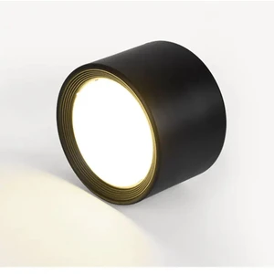 Indoor Ceiling Cylinder Down Light Home Aluminum Surface Mounted Round Spotlight 12w European Minimalist SMD Led Downlights