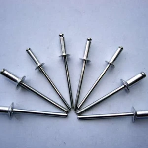 Solid Stainless Steel Rivets Head Rivet Fasteners 6mm Diameter ISO Certified YIQUAN Brand Hardware Bright Finish Flanged Model