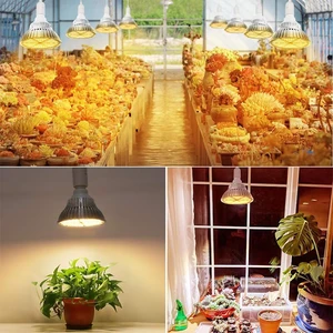 Smart LED Grow For App Control Bloom Support High CRI 80 Dimmable Timer For Indoor Plants Wholesale Manufacturer