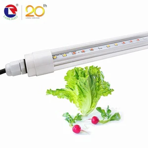 Customizable 4ft 1200mm T8 LED Plant Grow Light 36W 50W 72W Full Spectrum 3000K IP65 Growing Lamp for Lettuce Leafy Vegetables