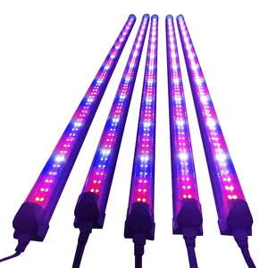Micro Green Growing System Bud Booster Led Grow Lights T8 Tube Plant Lamp