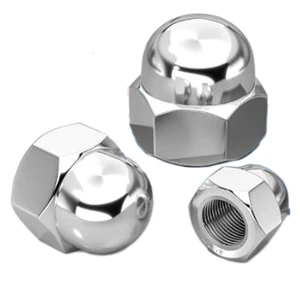 304 Stainless Steel Dome Cap Nut Decorative Nut Round Ball Head Cover Nut