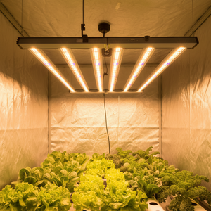 SLTMAKS Samsung Growth Lamp 720W Commercial Ppfd Indoor Greenhouse Growing System Hydroponics Full Spectrum Led Grow Lights