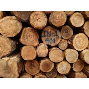 Japan Model Excellent Water Resistance Cedar Hinoki Wooden Furniture Logs For Crafting