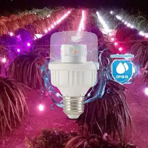 24 Bulbs per Box Plant Grow Light Product Full Spectrum Horticulture Integrated 5W 9W Led Growth Light for Dragon Fruit Grow