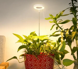 Auto On/Off Timer Dimmable Led Ring Grow Lights Led Grow Lamp Full Spectrum for Succulents Flower Plants Indoor