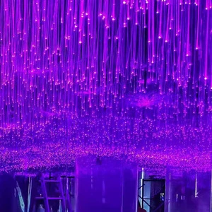 Ceiling Mounted Starry Luminous LED Fibre Optic Lights For Infrared Saunas 16W RGBW Twinkle Star LED Fiber Optic Lights