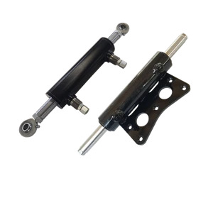 Hydraulic Cylinder OEM ODM Industrial Cylinder for Global Industrial Market Heat Dissipation Fast
