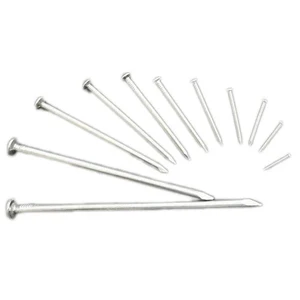 Reasonable Price High Quality Common Nails with Factory Produced Wood Nails Round Nail