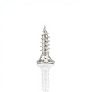 Stainless Steel Self-Tapping Torx Head Wood Screw 304 316 Stainless Torx Countersunk Flat Head Self Tapping Screws