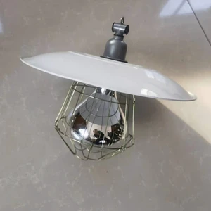 Far Infrared Thermal Insulation Lamp Set for Home Use New Plastic 220v for Farm Pigs and Chicks 250 W Heating Lampshade