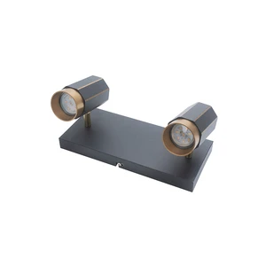 High Quality Modern Commercial 2-lit Plate LED Spot Light Surface Mounting Adjustable Spot Light Zoomable LED Spotlight
