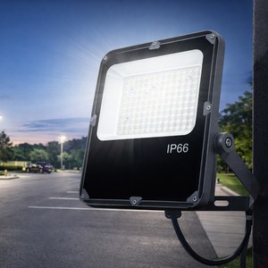High Efficiency 180LmW IP65 Waterproof IK08 Die Cast Aluminum LED Flood Light for Tunnel Highway Underpass Lighting