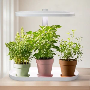 Wholesale BrightRing LED Grow Light with Adjustable Height Brightness Control Aesthetic Indoor Gardening Solution Spectrum Color