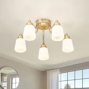 Interior 5 Heads 22inch 48w Gold Finish Ceiling Lamp 3cct Dimming Metal Glass Cover Led Ceiling Lights for Home Bedroom