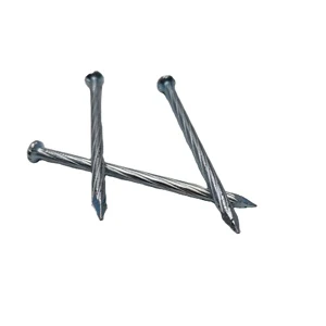 China Steel Nails Large Electro Galvanized Iron Spike Wire Steel Nail Dipped Galvanized Flat Head Common Nails
