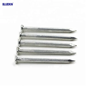Electro/hot Dipped Galvanized Concrete Steel Nail for Construction