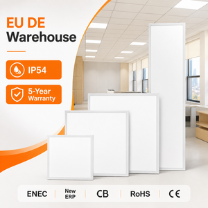 IP54 3CCT ENEC Dimmable LED Panel Light 60x60 62x62 60x120 30x120 European Warehouse Office Lighting IES LDT Available