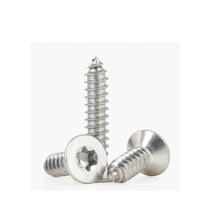 Factory Hot Sale Self-Tapping Screws All Kinds of SS304 Stainless Steel Pan/flat/torx Self Tapping Screw