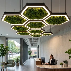 Honeycomb Modular Hexagonal Moss Pendant Light Acoustic Noise Reduction LED Adjustable Height Remote Control Ceiling Lamp for
