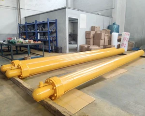 Customized Hidraulic/hydraulic Cylinder High Quality Hydraulic Cylinder for Heavy Duty Crane