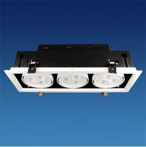 LED Down Light