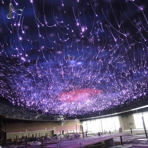 End Glowing LED Fiber Optic Starry Light IP65 Rating RGB Colors Water-Resistant 5-Year Warranty for Ceiling Installation