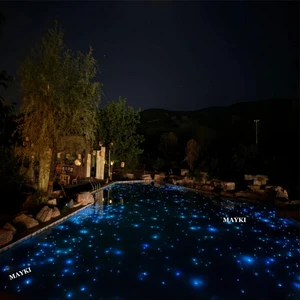 Swimming Pool Fiber Optic Light Star Kits 80W Twinkle LED Underwater End Lit Optical Fiber Lighting
