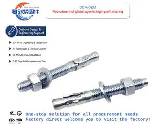 Custom 20mm M12 18mm M20 8mm M6 16mm M10 M16 M24 Expansion Wedge Anchors Stainless Steel Galvanized Zinc Inch Concrete Bolt