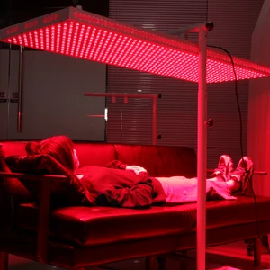 Red Dot Led RD6000 Professional Grade 6000W Infrared Red Light Therapy Panel Full Body 660nm/850nm Pain Relief Touch Control