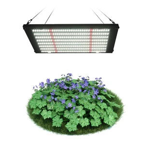 Hot Products Top 20 Plant Grow Light Uv Ir 100W High Ppfd 730nm Led Grow Light Supplier