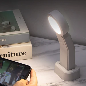 Bedroom Decor Motion Sensor Night Light with 3m Detection Range USB Charging LED Lamp-Children's Gift Warm & Day White