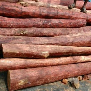 Premium Quality Red And White Sandal Wood Logs For Perfume Making And Temple Use Buy Today With Fast Delivery Wholesale Price