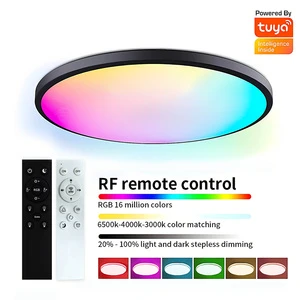 85-265V 24W Tuya APP Control WIFI Smart ABS Ceiling Light RGBCW Color Changing Alexa Google Voice Control Home Integration