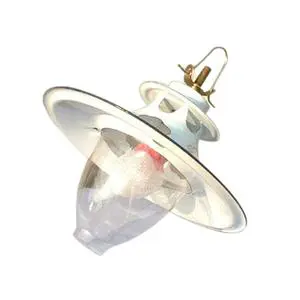 Factory Wholesale Price Indoor Biogas Lamp
