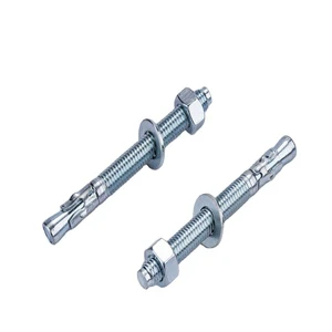 Factory Fasteners Stainless Steel Anchor Bolt Wedge Anchor Expansion Bolt Through Bolt