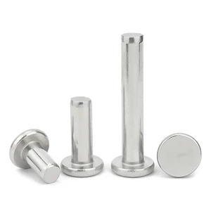 M2 M2.5 M3 M4 M5 M6 M8 M10 M12 M14 Stainless Steel Rivet Solid Rivets AL Knock Flat Head Rivet GB109