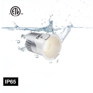 4 Inch 30W ETL LED Downlight Industrial Design CCT Adjustable 110V Recessed Ceiling White Trim IP66 Rated Indoor High CRI 90