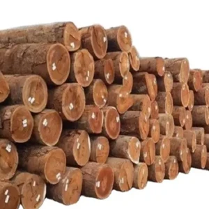 Hardwood Logs for Furniture Oak Beech Spruce Grade a Round 100m Diameter 112cm Length South Africa 10-Year Shelf Life