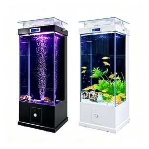 Rectangle Vertical Aquarium With Filtration for Living Room Decoration Fish Tank Aquarium Home Landscaping