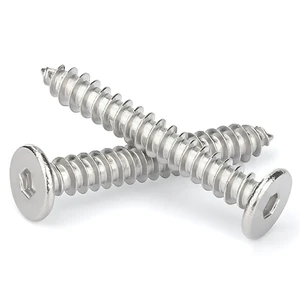 SS304 Stainless Steel Ultra Low Head M6 Self Tapping Screw Fat Head Wood Type Screws for Metal