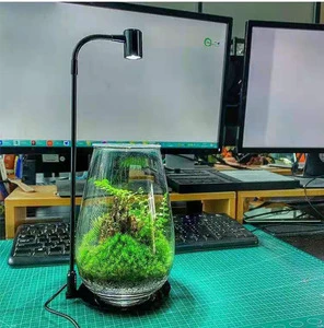 Full Spectrum Plant Light Indoor Small Plants Height Adjustable Fish Tank Growing Lamp Auto on Off Timer 12H Dimmable Brightness