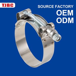 Heavy Duty Stainless Steel T Type Clamp Bolt Band and Spring Clamp with Buckle Clip and Joint for Various Usage