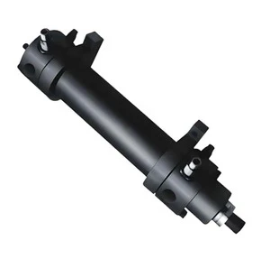 Lejiang Marine Grade Hydraulic Cylinder for Crawler Excavator Applications Steering Thruster Hatch with 1 Year Warranty