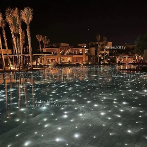 Twinkle Starry Effect Outdoor Swimming Pool Light Fiber Optic Star LED Lamp with Aluminum & PMMA Body for Pond & Underwater Use