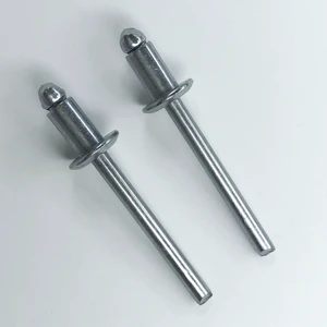 Wholesale Custom Stainless Steel Rivet Aluminum Pop Rivet Silver Natural Color Blind Rivets